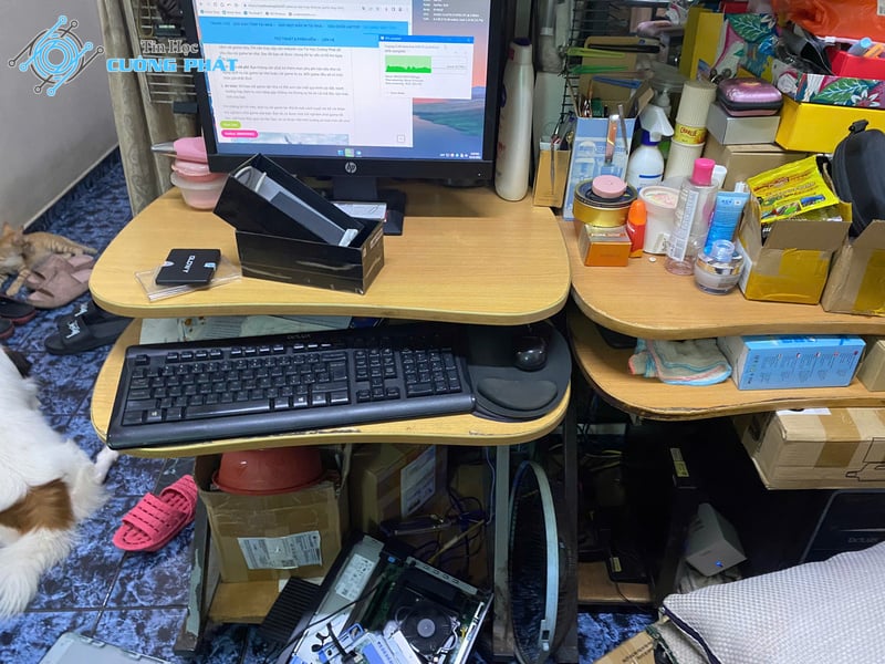cửa hàng nâng cấp máy tính quận 9