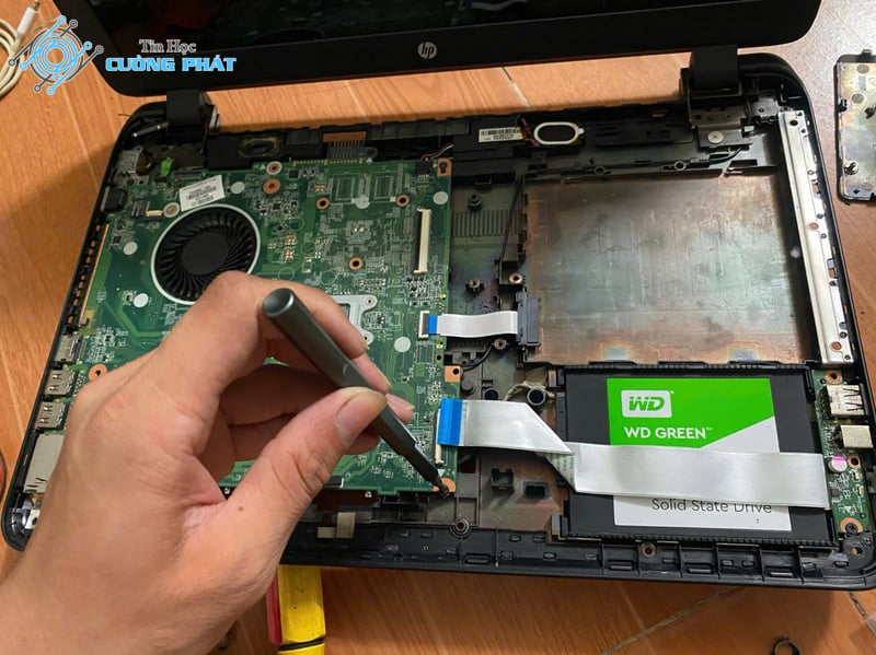 nâng cấp laptop quận 8